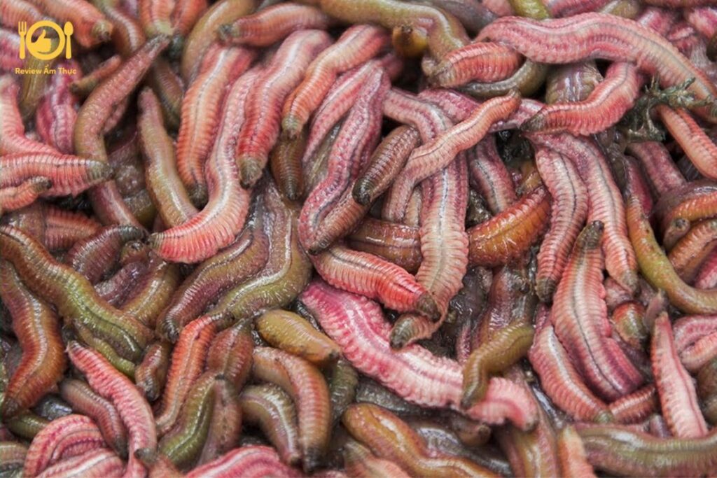 Cách làm chả rươi Hà Nội bổ dưỡng và hấp dẫn tại nhà 8 cha-ruoi-ha-noi-3