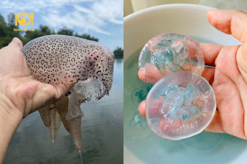 Con nuốc Huế - Món ăn gây bão mạng xã hội có gì đặc biệt? 8 Cái tên Nuốc xuất phát từ cách phát âm của người dân Huế