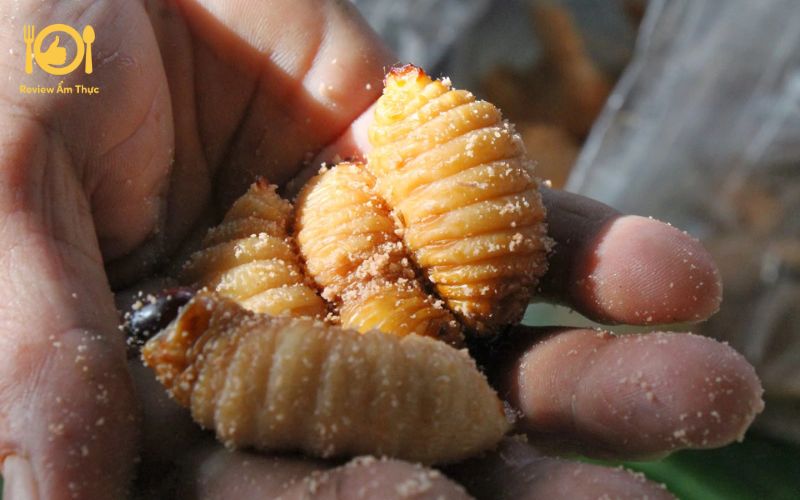 Chia sẻ cách làm đuông dừa tắm mắm ngon, chuẩn đặc sản miền Tây 7 đuông dừa tắm mắm