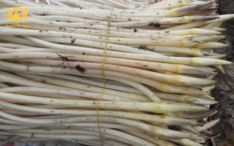 Mách bạn cách làm ngó sen xào thịt bò ngon như nhà hàng 11 ngó sen xào thịt bò