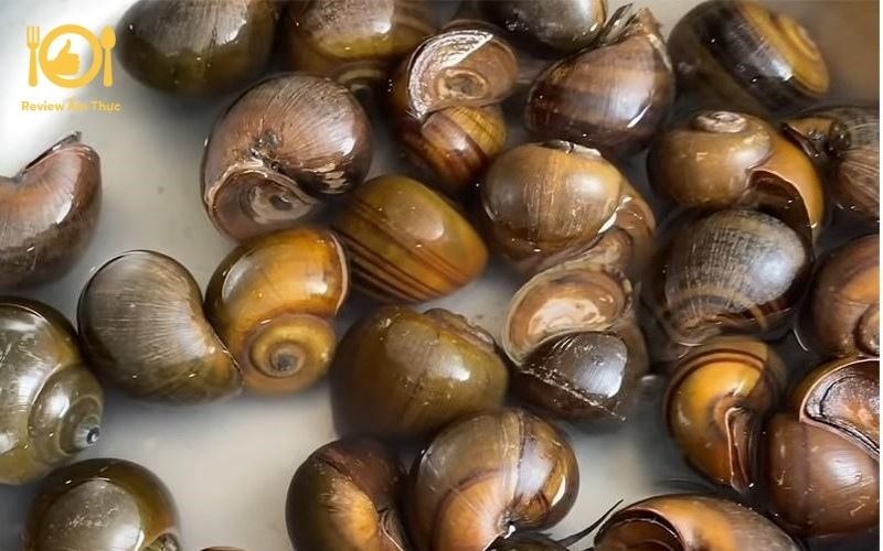 Cách làm món ốc bươu nướng tiêu xanh chuẩn miền Tây 8 ốc bươu nướng tiêu xanh