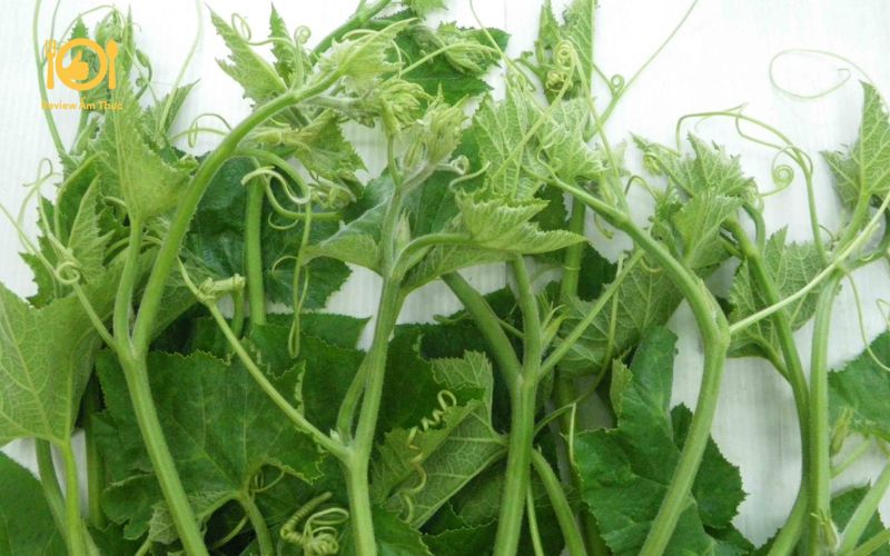 Bí quyết làm món rau bí xào thịt bò tươi xanh, ngon miệng tại nhà 13 rau-bi-xao-thit-bo-3