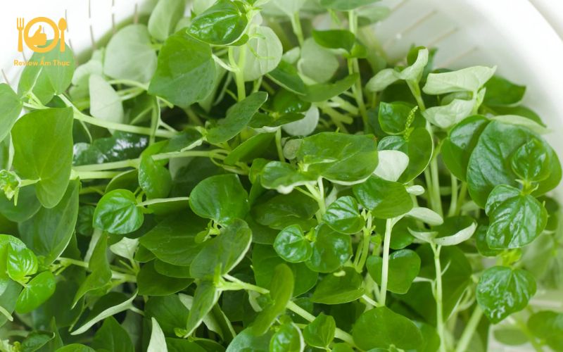 Rau càng cua xào thịt bò - Món ngon dân dã, dễ làm mà cực đưa cơm 9 rau càng cua xào thịt bò