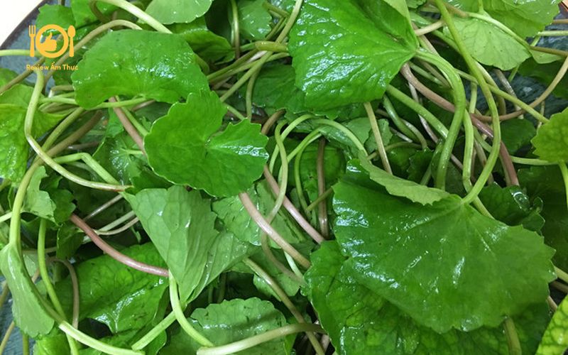 Cách làm rau má xào thịt bò thanh đạm, bổ dưỡng cho bữa cơm gia đình 13 rau-ma-xao-thit-bo-4