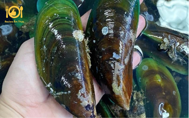 Bật mí công thức làm vẹm nướng mỡ hành ngon số 1 10 vẹm nướng mỡ hành