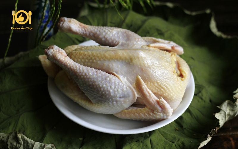 Hướng dẫn cách làm gà nướng sả ớt nồi chiên không dầu 6 ga nuong sa ot noi chien khong dau