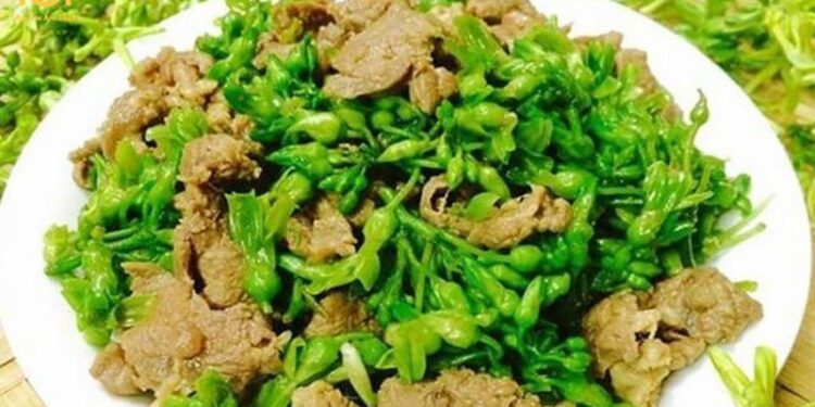 hoa thiên lý xào thịt lợn