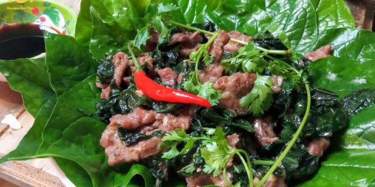 thịt bò xào lá lốt