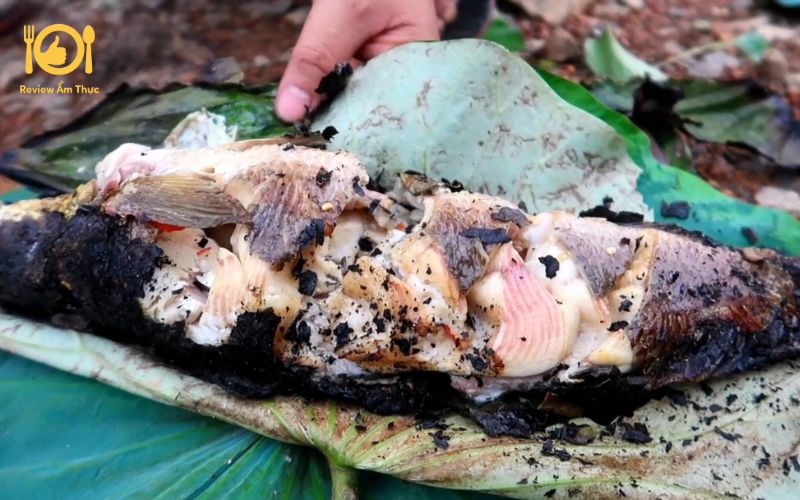 Bí quyết làm cá lóc nướng đất sét thơm ngon, ngọt thịt tại nhà 8 cá lóc nướng đất sét