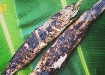 Mách bạn cách làm cá lóc nướng lá chuối thơm ngon đúng điệu