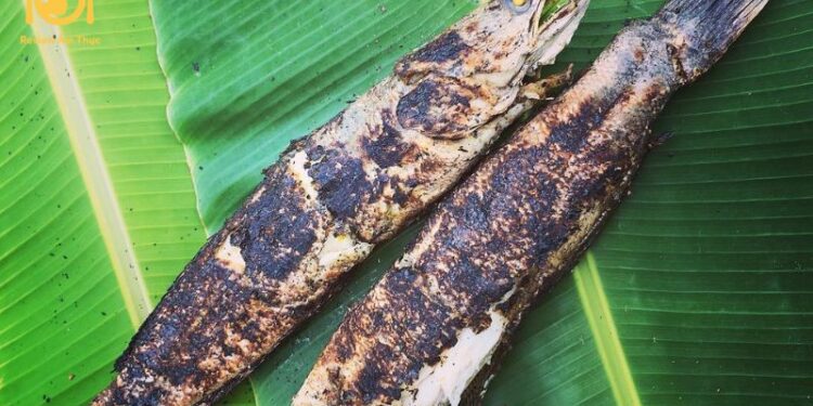 Mách bạn cách làm cá lóc nướng lá chuối thơm ngon đúng điệu