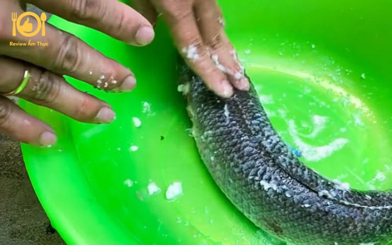 Cách làm món ngon cá lóc nướng mía lạ miệng cho gia đình 10 cá lóc nướng mía