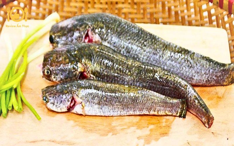 Tham khảo cách làm món cá lóc nướng mỡ hành thơm ngon nhất 9 cá lóc nướng mỡ hành