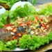 Tham khảo cách làm món cá lóc nướng mỡ hành thơm ngon nhất 15 cá lóc nướng mỡ hành