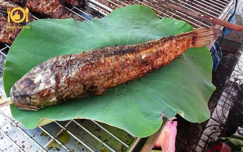 Khám 6 món cá lóc nướng nồi chiên không dầu ngon hiện nay 15 cá lóc nướng nồi chiên không dầu