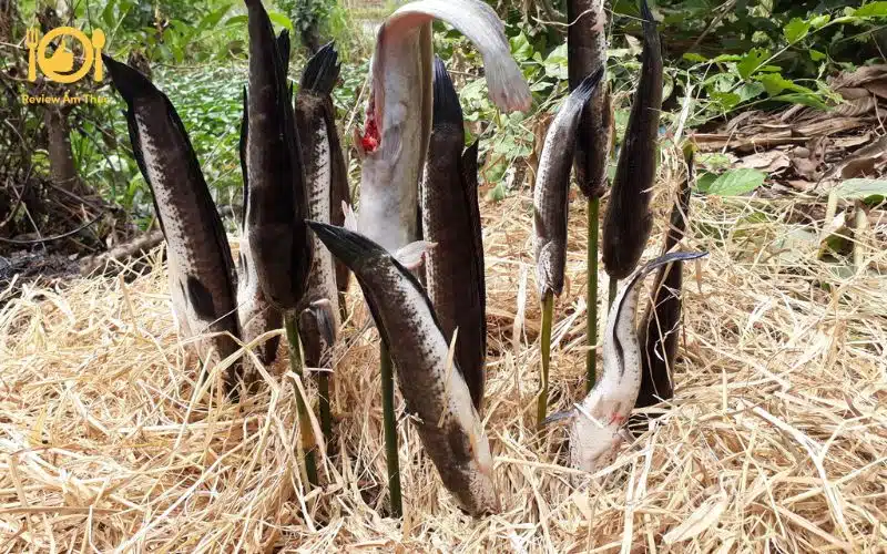 Cách làm cá lóc nướng rơm đơn giản, ngon tuyệt cú mèo tại nhà 10 cá lóc nướng rơm