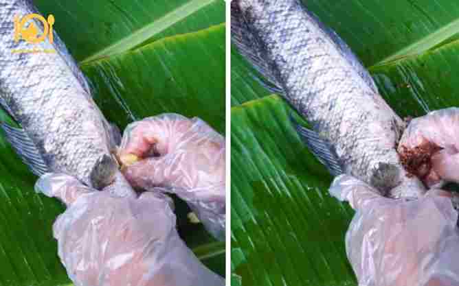 Hướng dẫn cách làm món cá lóc nướng tuyết thơm ngon đậm đà 10 cá lóc nướng tuyết