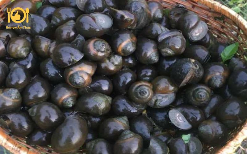 Lưu ngay 4 cách làm ốc nướng sa tế dân dã, ăn một lần nhớ mãi 12 Ốc nướng sa tế bao nhiêu calo?