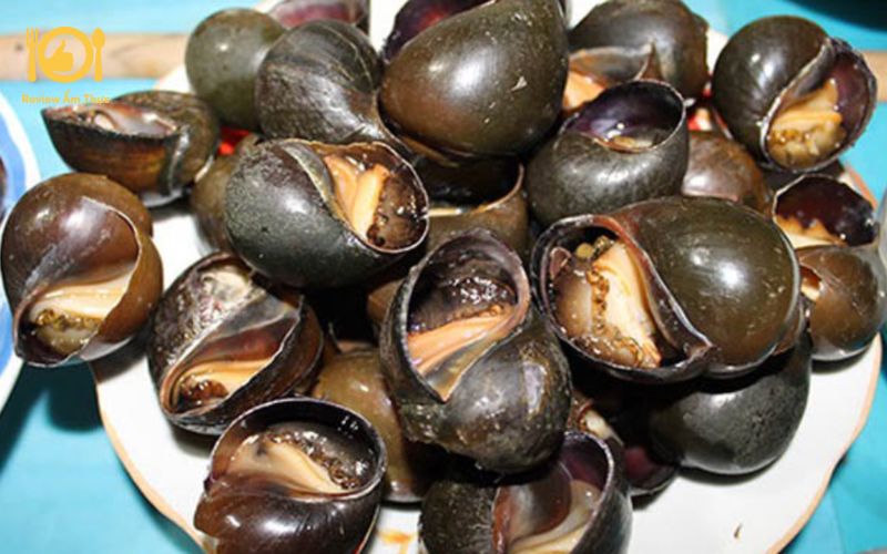 Bật mí công thức làm món ốc bươu nướng muối ớt ngon chuẩn vị 8 ốc bươu nướng muối ớt