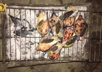 ốc giác nướng mỡ hành