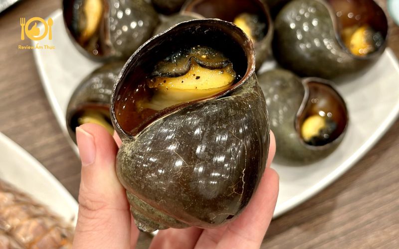 Tổng hợp 10 món ốc nướng ngon mê ly cho ngày mưa se lạnh 31 ốc nướng