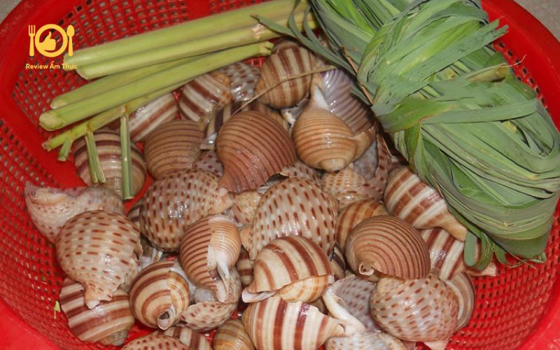 Tổng hợp 10 món ốc nướng ngon mê ly cho ngày mưa se lạnh 30 ốc nướng