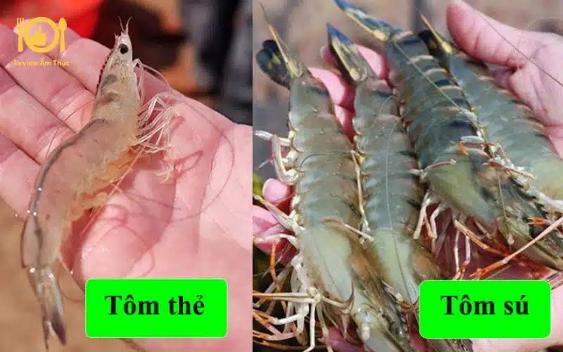 Top 4 món tôm nướng phô mai khiến bạn phải ngồi vào bàn ăn ngay 18 tôm nướng phô mai