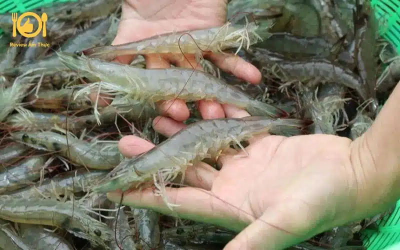 Top 4 món tôm nướng phô mai khiến bạn phải ngồi vào bàn ăn ngay 19 tôm nướng phô mai