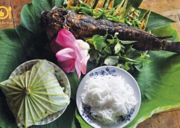 Cá Lóc Nướng Lá Sen - Món Ăn Thơm Ngon Đậm Hương Vị Quê Nhà