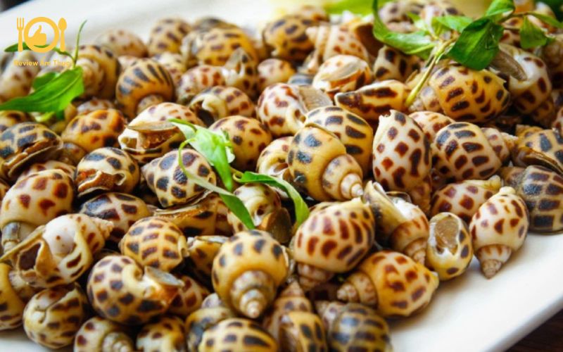 Lưu ngay cách nướng ốc hương bằng nồi chiên không dầu thơm ngon 6 Nướng ốc hương bằng nồi chiên không dầu