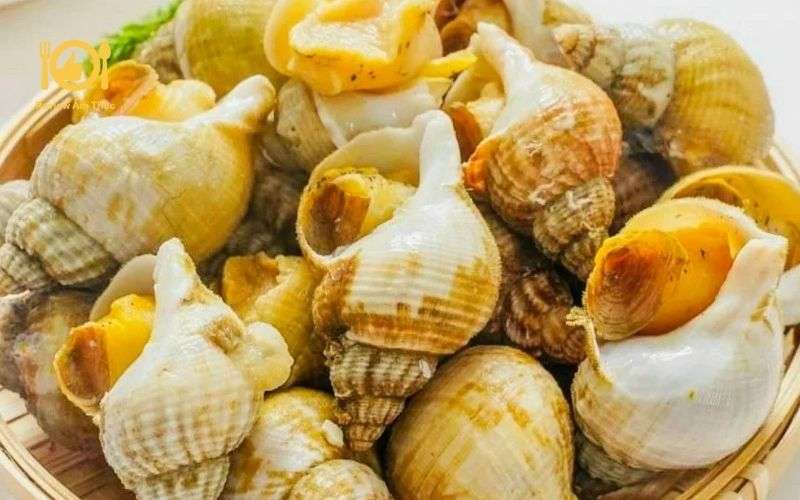 Hướng dẫn chế biến ốc bulot nướng muối ớt cay ngon, dễ làm 9 ốc bulot nướng muối ớt