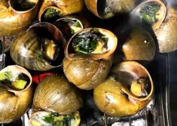 Hướng dẫn nướng ốc bươu nướng mỡ hành ngon hơn ngoài tiệm