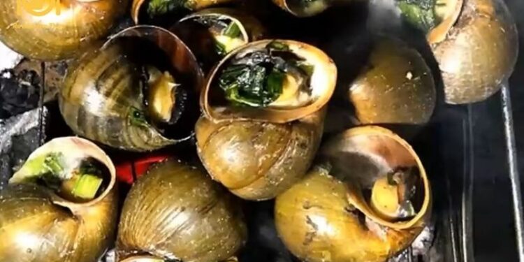 Hướng dẫn nướng ốc bươu nướng mỡ hành ngon hơn ngoài tiệm