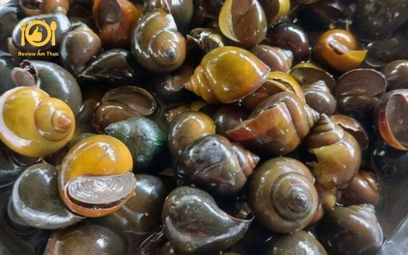 Cách làm ốc bươu nướng sa tế cực ngon, ai cũng làm được 7 ốc bươu nướng sa tế