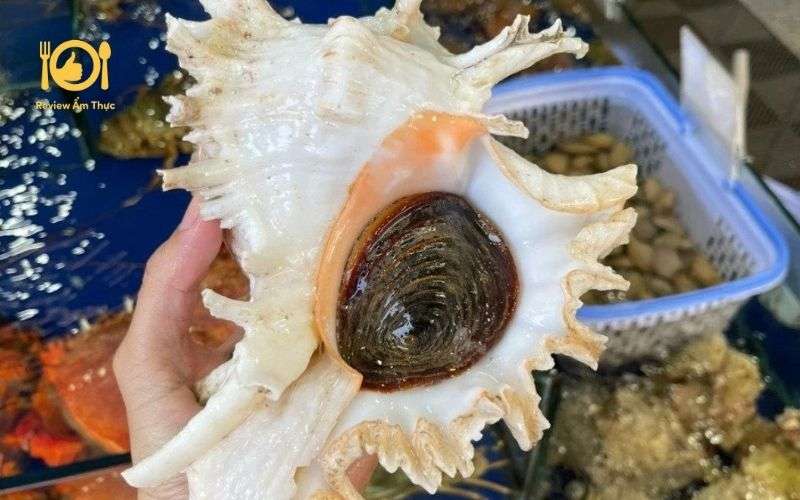 Hướng dẫn cách làm ốc gai nướng mỡ hành ngon tuyệt đỉnh 8 ốc gai nướng mỡ hành