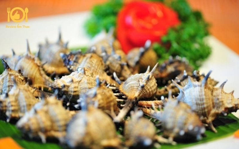 Mách bạn cách làm ốc gai nướng muối ớt siêu ngon ngay tại nhà 10 ốc gai nướng muối ớt