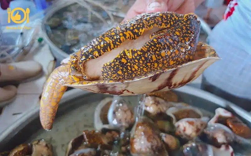 Học ngay cách làm ốc giác nướng muối ớt cực dễ và nhanh tại nhà 6 ốc giác nướng muối ớt