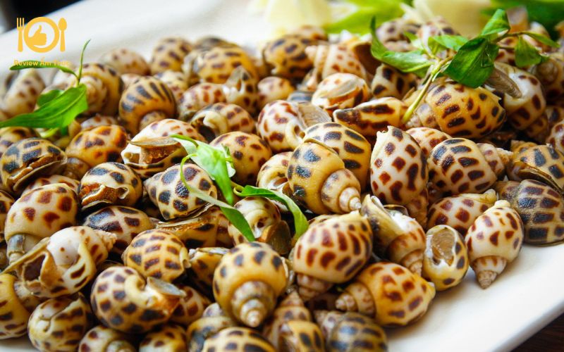 Hướng dẫn cách làm món ốc hương nướng mọi thơm ngon hấp dẫn 8 ốc hương nướng mọi