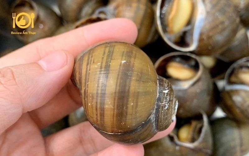 Hướng dẫn làm ốc lác nướng tiêu xanh đơn giản, siêu ngon tại nhà 8 ốc lác nướng tiêu xanh