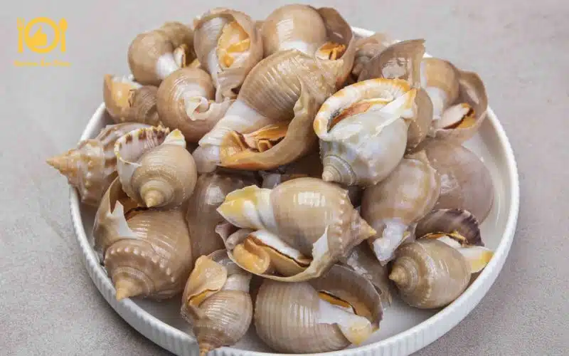 Cách làm ốc tỏi nướng mỡ hành thơm nức mũi, béo ngậy tại nhà 9 ốc tỏi nướng mỡ hành