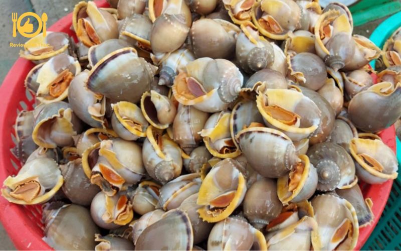 Ốc tỏi nướng nước mắm - Món ăn khó cưỡng với hương vị đậm đà 7 ốc tỏi nướng nước mắm