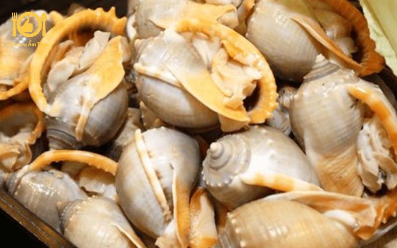 Công thức làm món ốc tỏi nướng tiêu xanh nhất định phải thử 9 ốc tỏi nướng tiêu xanh