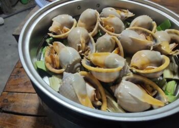 ốc tỏi nướng tiêu xanh