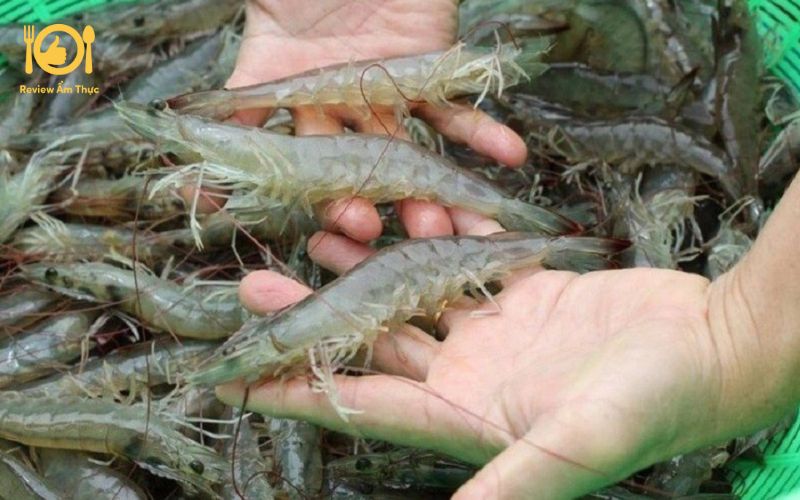 Bí quyết làm món tôm nướng giấy bạc đậm đà, mềm mọng tại nhà 11 tôm nướng giấy bạc