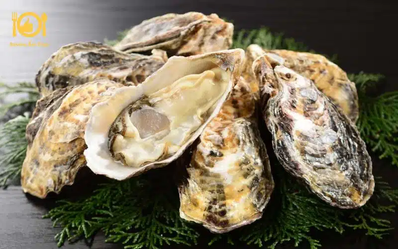 Hướng dẫn cách làm hàu nướng mỡ hành bằng chảo đơn giản 6 cách làm hàu nướng mỡ hành bằng chảo