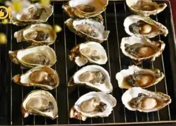 Top 5 quán hàu nướng 6k có lượt đánh giá cao nhất định phải thử