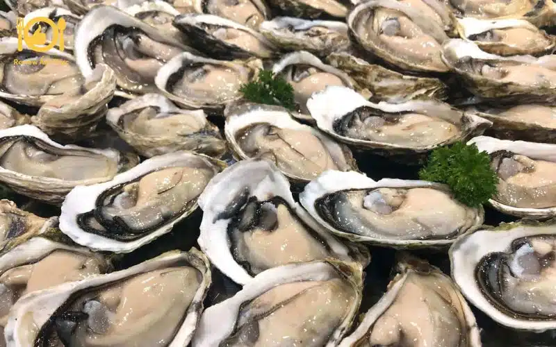 Cách làm hàu nướng chén bằng nồi chiên không dầu tại nhà 7 hàu nướng chén bằng nồi chiên không dầu