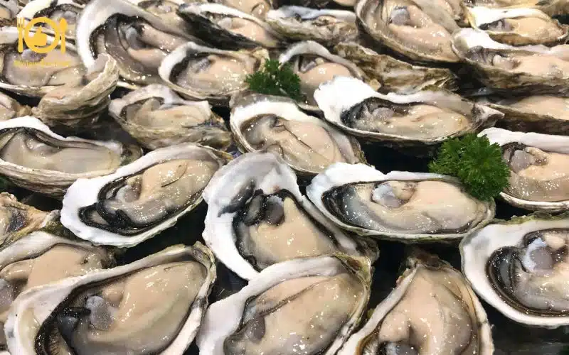 Hướng dẫn cách làm hàu nướng cồn siêu nhanh, siêu ngon, ăn là mê 8 hàu nướng cồn