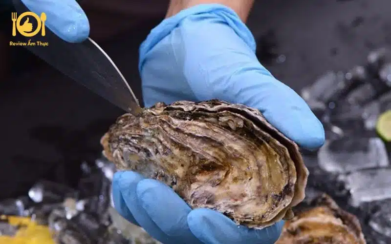 Bật mí cách làm hàu nướng giấy bạc bằng chảo ngon như ngoài hàng 8 hàu nướng giấy bạc bằng chảo