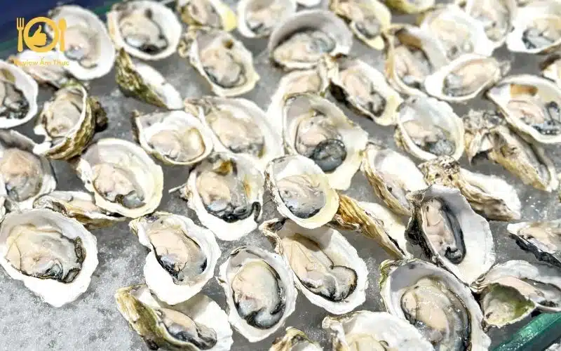 Bật mí cách làm hàu nướng mỡ hành bằng lò nướng siêu ngon 6 hàu nướng mỡ hành bằng lò nướng